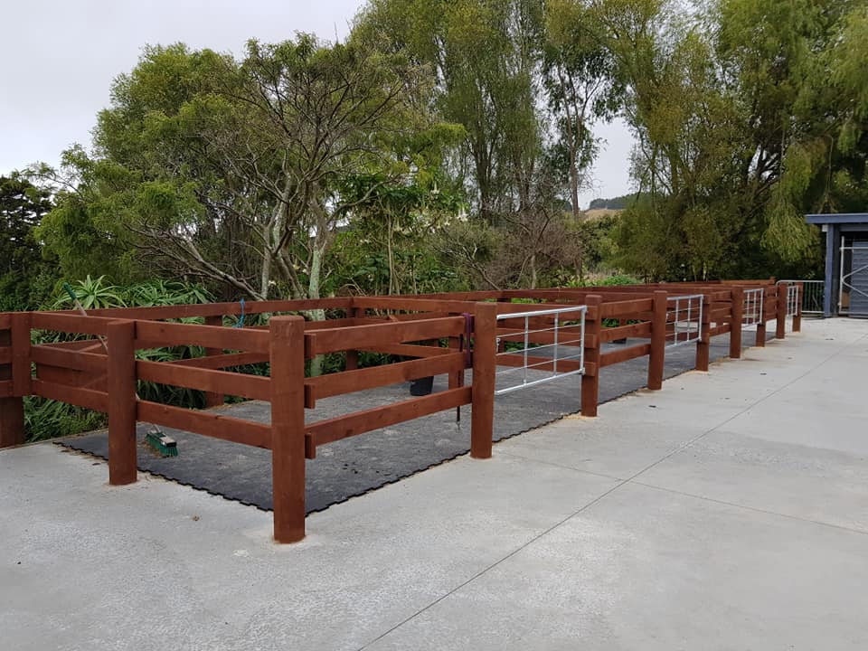 Wire fence on farm property 3