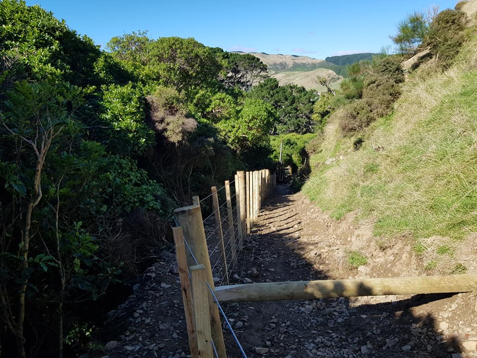 Wire fence on farm property 5